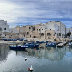 IMG_1195